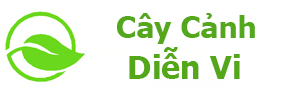 Cây Cảnh Diễn Vi