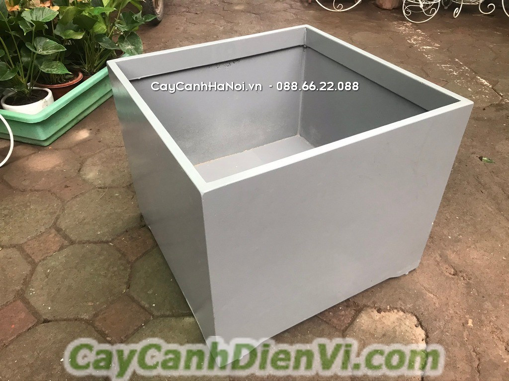 Chậu cây xi măng nhẹ có nhiều hình dạng, màu sắc